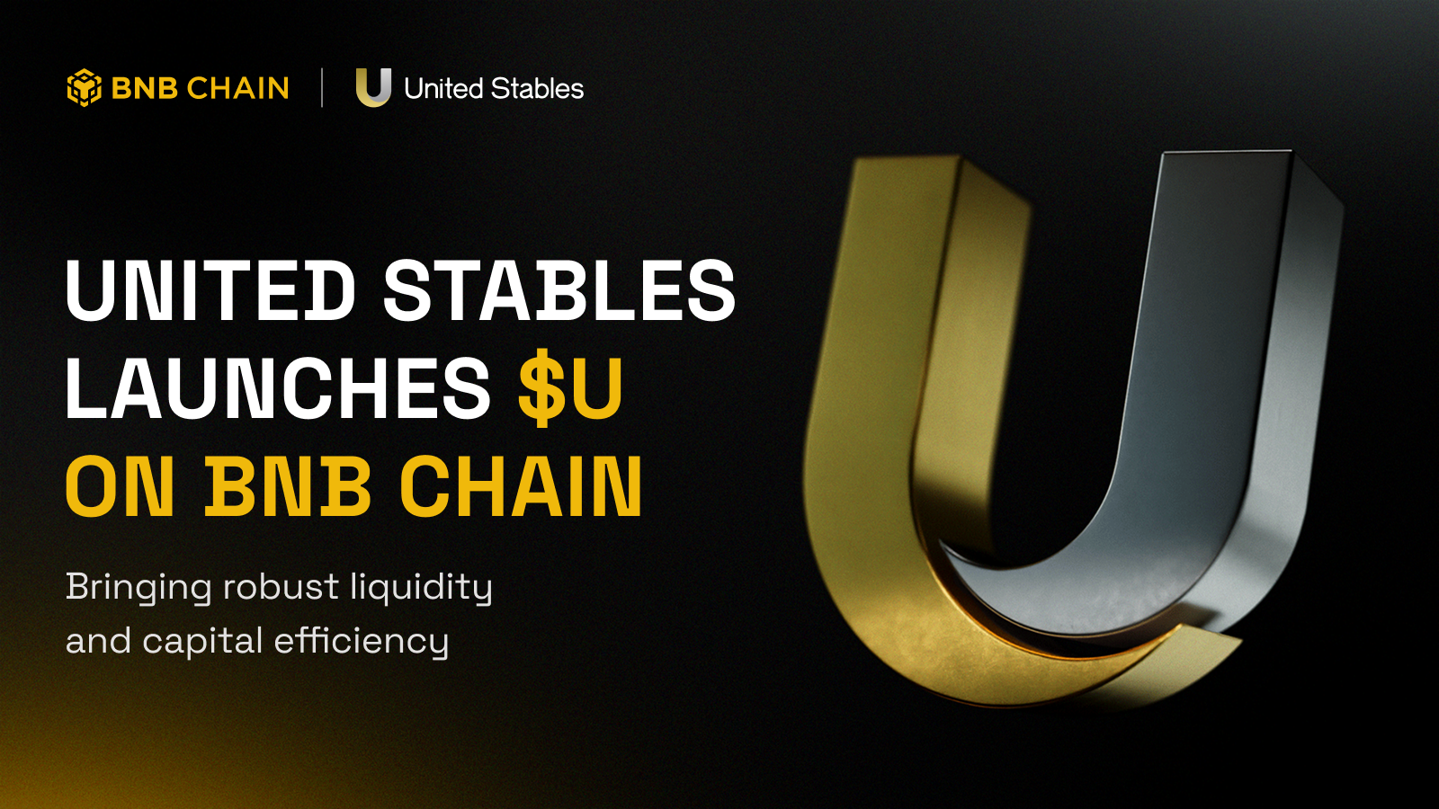 chain-native stablecoins