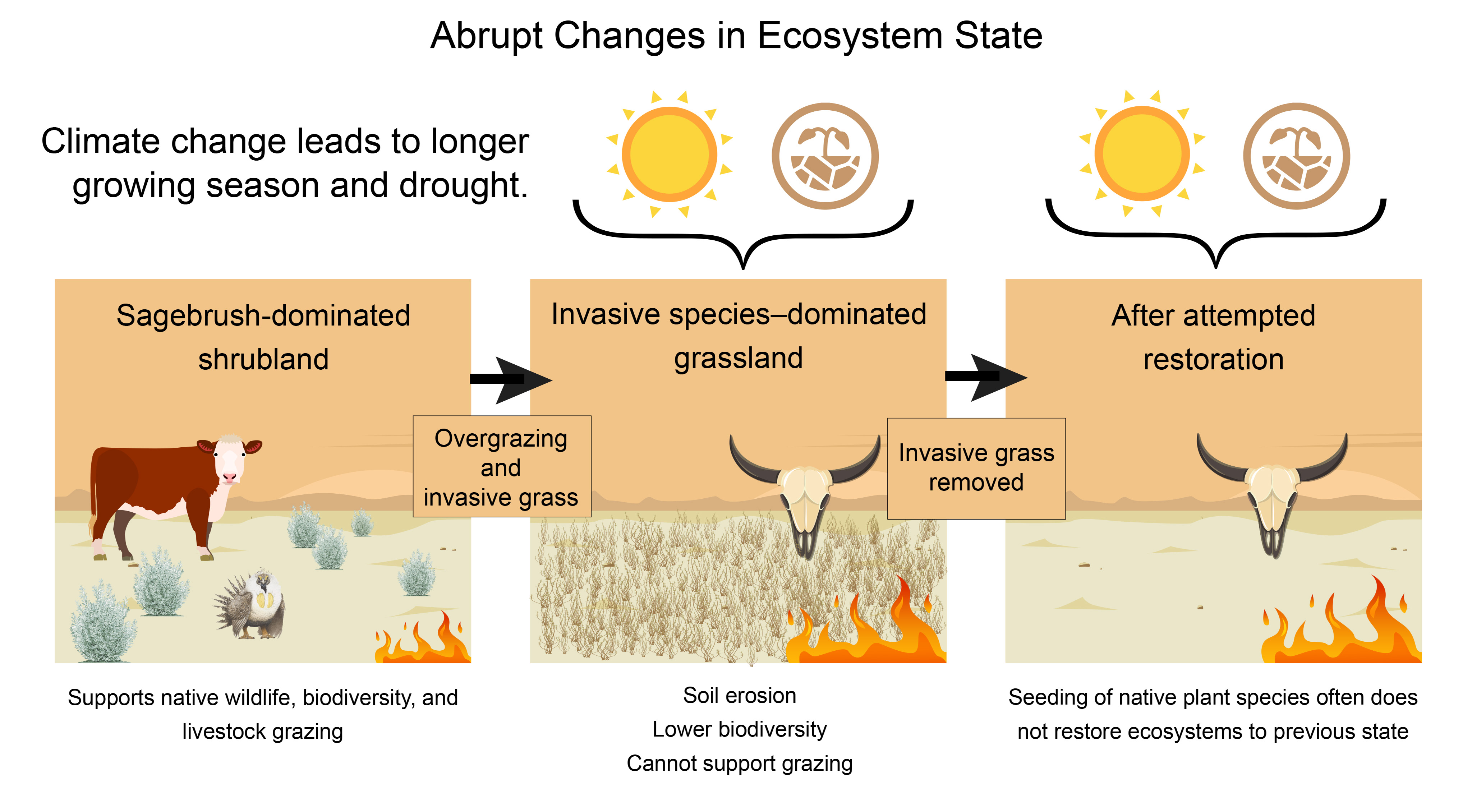 The Ecosystem Shift