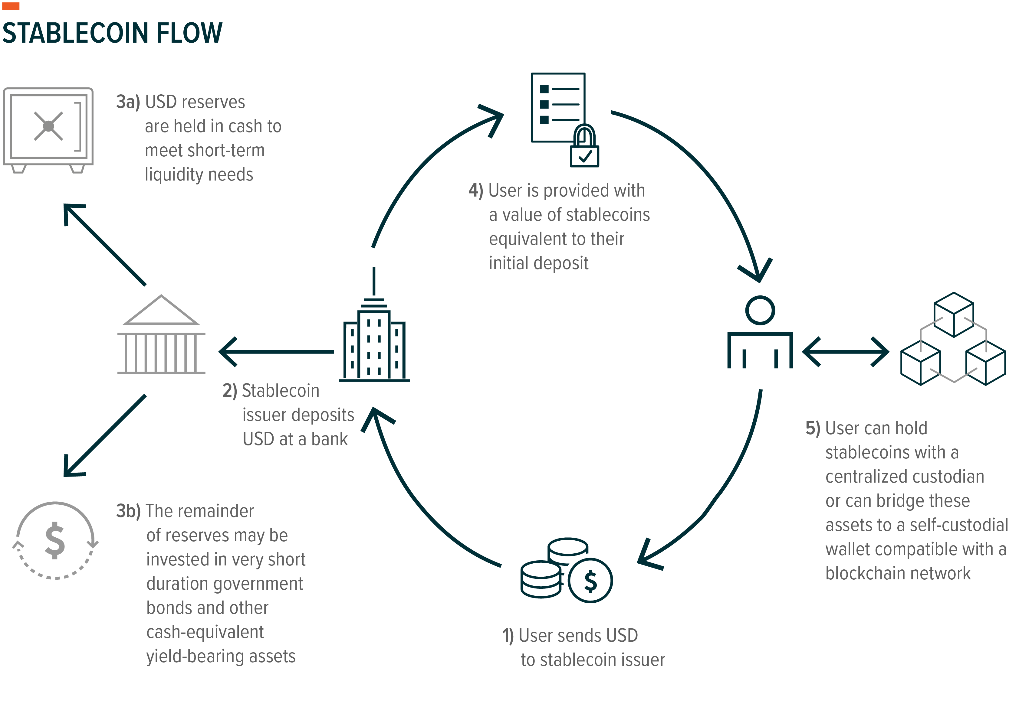 chain-native stablecoins